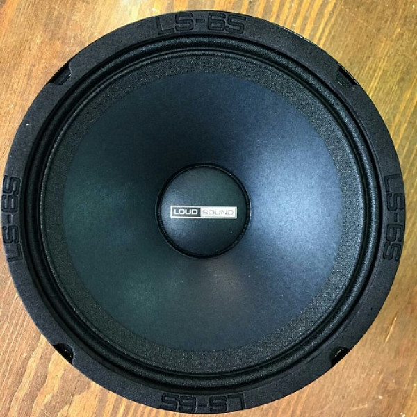 Эстрадная акустика Loud Sound LS-65