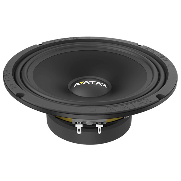 Эстрадная акустика Avatar MBR-65