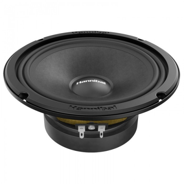 Эстрадная акустика Hannibal MH-60