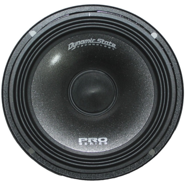 Эстрадная акустика Dynamic State PM-165.3 PRO