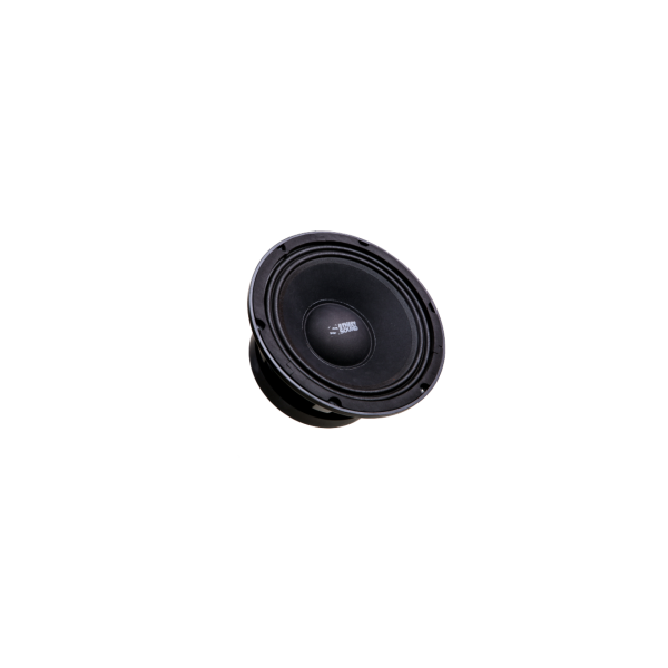 Естрадна акустика Street Sound MDB-Black80