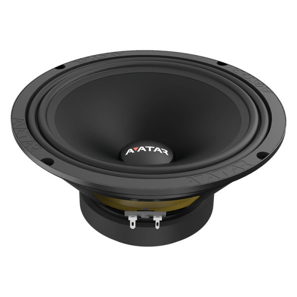 Эстрадная акустика Avatar MTU-81