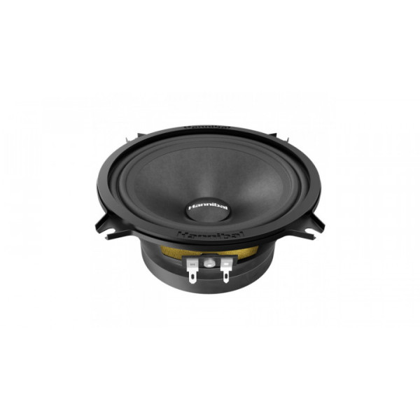 Эстрадная акустика Deaf Bonce Hannibal MH-50