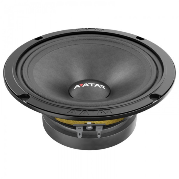 Эстрадная акустика Avatar MTU-61