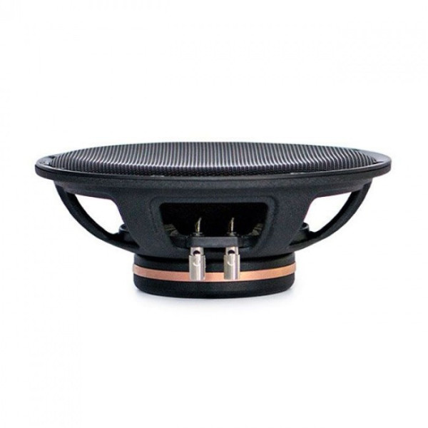 Эстрадная акустика Pride Solo NEO 10