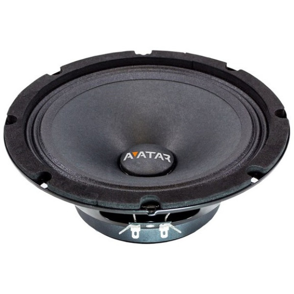 Эстрадная акустика Avatar MTU-80