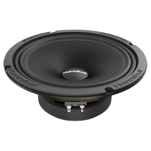 Эстрадная акустика Hannibal MH-81