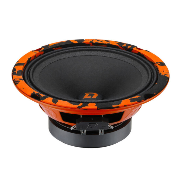 Эстрадная акустика DL Audio Barracuda 165 Эстрадная акустика DL Audio Barracuda 165