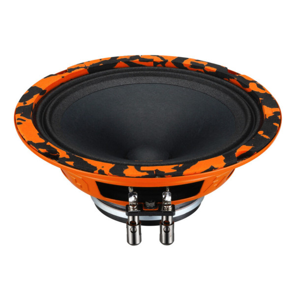 Эстрадная акустика DL Audio Gryphon Pro 165 Neo Эстрадная акустика DL Audio Gryphon Pro 165 Neo