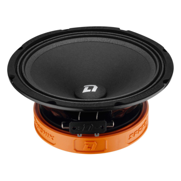 Эстрадная акустика DL Audio Phoenix Sport 200 Эстрадная акустика DL Audio Phoenix Sport 200