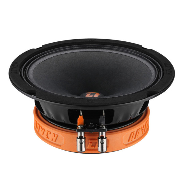 Эстрадная акустика DL Audio Raven 165 Эстрадная акустика DL Audio Raven 165