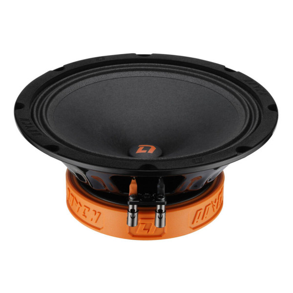 Эстрадная акустика DL Audio Raven 200 Эстрадная акустика DL Audio Raven 200
