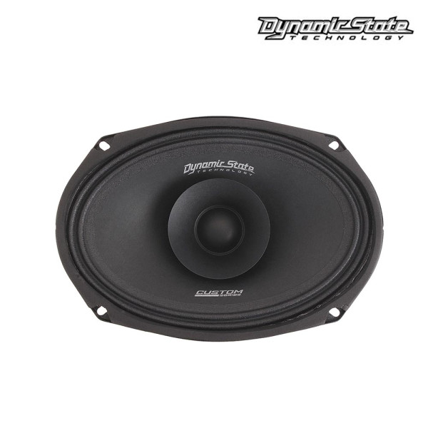 Эстрадная акустика Dynamic State CUSTOM CM-69V