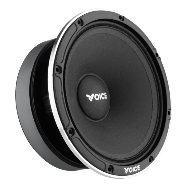Эстрадная акустика Voice EX-65L