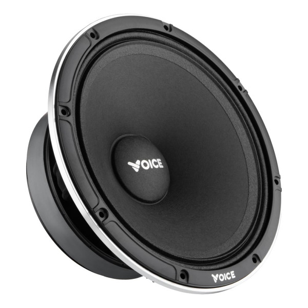 Эстрадная акустика Voice EX-80L
