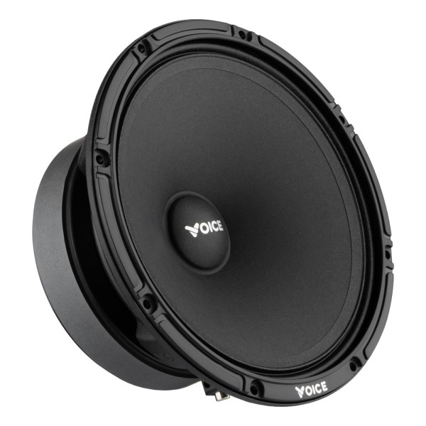 Эстрадная акустика Voice SP-60AX