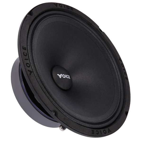 Эстрадная акустика Voice SP-80A