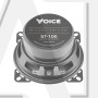 Эстрадная акустика Voice ST-100