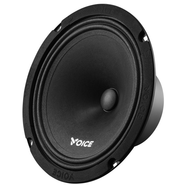 Эстрадная акустика Voice ST-200