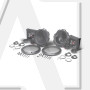Компонентна акустика Rockford Fosgate Power T1675-S