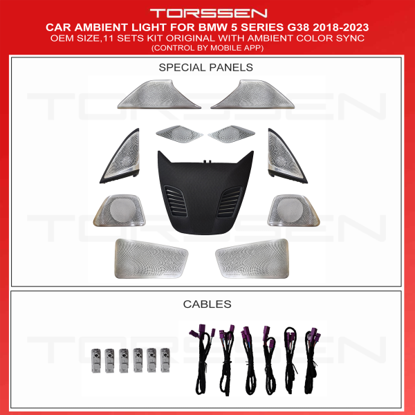 Підсвітка салону Torssen BMW 5 Series(G38) 2018-2023(Original with ambient)-11 Leds