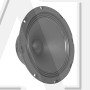 Эстрадный мидбас GAS MAX PMW1-84N