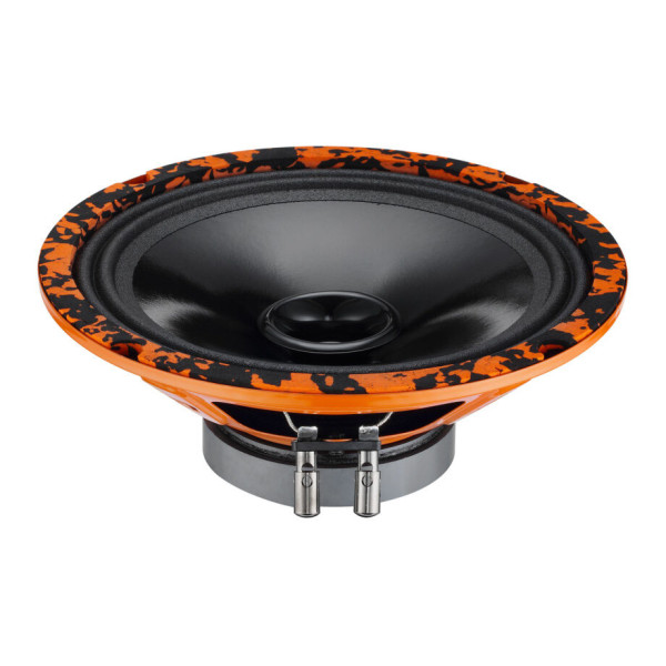 Широкополосные динамики DL Audio Gryphon Lite 200 V.2 Широкополосные динамики DL Audio Gryphon Lite 200 V.2