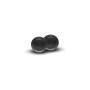 Твиттер Rockford Fosgate R1T-S